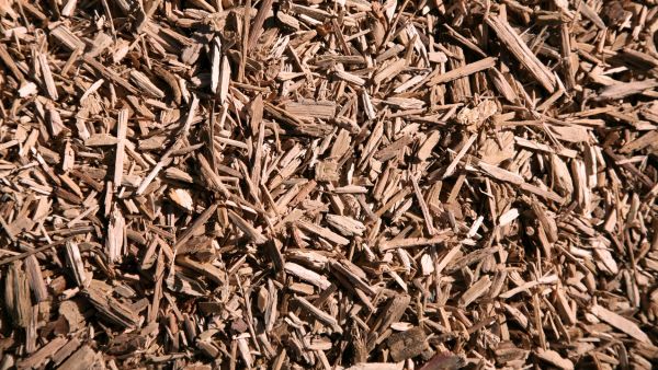 cedar mulch