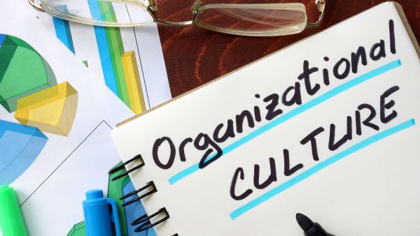 organizational culture